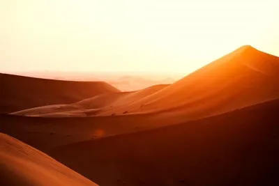 Al Ain City Tour from Dubai Tours & Sightseeing )