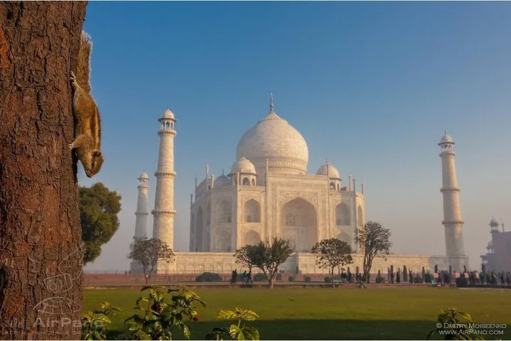 Private Taj Mahal Tour with Shopping from Agra