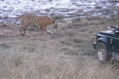 Ranthambhore National Park