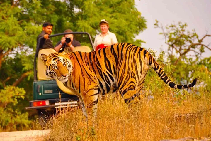 Private Golden Triangle Delhi Agra Jaipur with Ranthambore