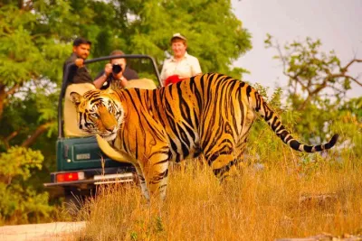 Private Golden Triangle Delhi Agra Jaipur with Ranthambore