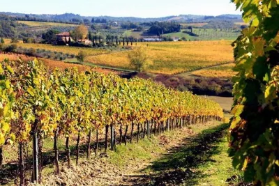 Private Chianti Wine Tour and Castellina: Day Trip from Rome