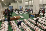 Complete Tuna Auction & Toyosu Market Tour with Fumi