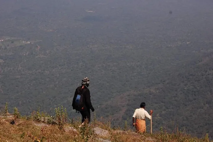 Ooty - Day Trip to Bellikkal Estate