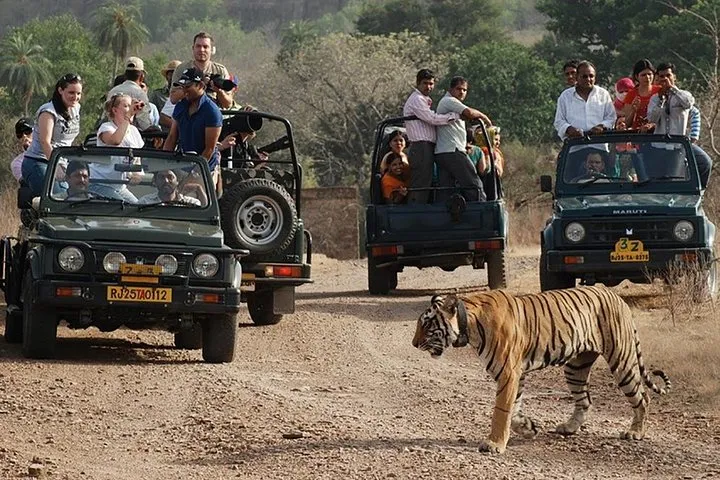 Golden Triangle Tour with Ranthambore National Park