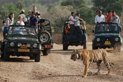 Golden Triangle Tour with Ranthambore National Park