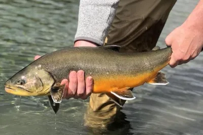 Private Lake and River Fishing Tour from Reykjavik