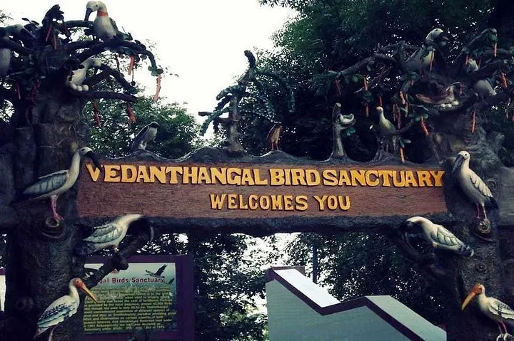 Visit to Vedanthangal Bird Sanctuary from Chennai