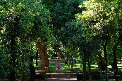 Villa Borghese and Posh Areas Unique Photo Tour and Workshop