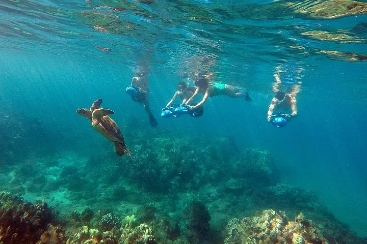 Sea Scooter Snorkeling Tour with Photo and Video - Wailea Beach