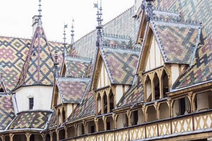 BURGUNDY : Wine Tasting & Visits- Private Day Trip From Paris