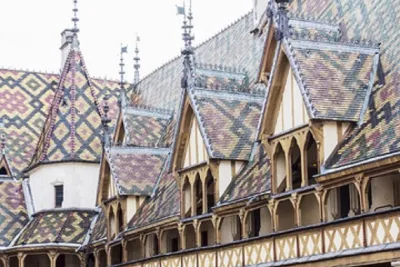 BURGUNDY : Wine Tasting & Visits- Private Day Trip From Paris