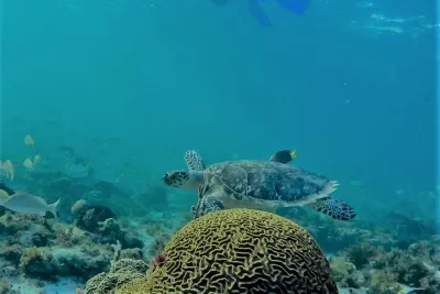 Catamaran Group Sightseeing, Snorkeling Tour Isla Mujeres