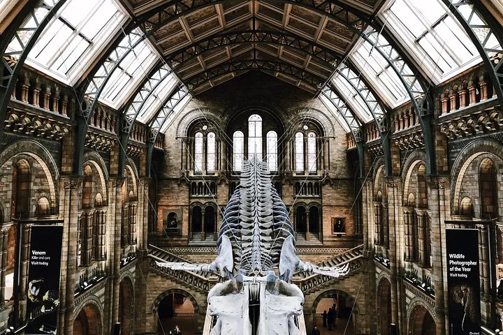 Natural History Museum London Guided Tour Semi-Private 8ppl Max