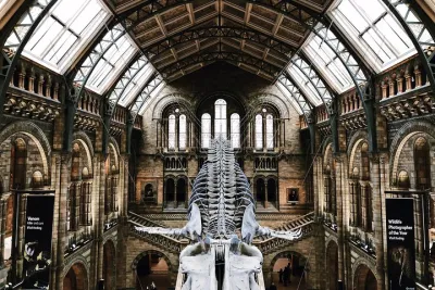 Natural History Museum London Guided Tour Semi-Private 8ppl Max