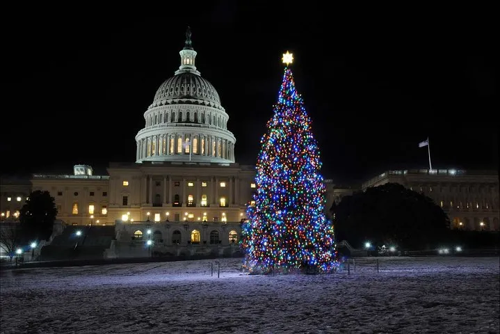 Holiday Lights Tour of Washington DC and Old Town Alexandria