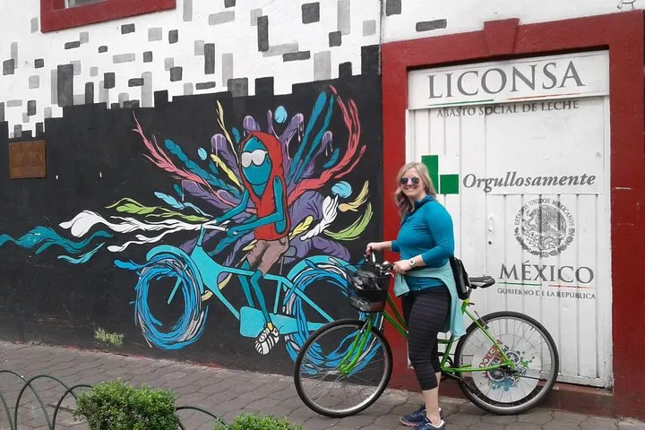 Graffiti & Urban Art Biketour w/ taco stop