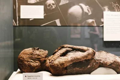 Smithsonian Museum of Natural History - Exclusive Guided Tour