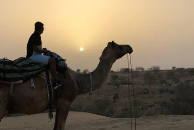 Desert Camel Safari & Jeep Safari Tour From Jodhpur