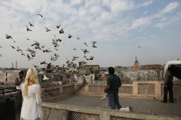 Kite Flying And Culture Walk In Old Delhi With Lunch Or Dinner