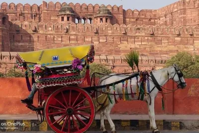 Delhi Agra Same Day Private Tour With Guide