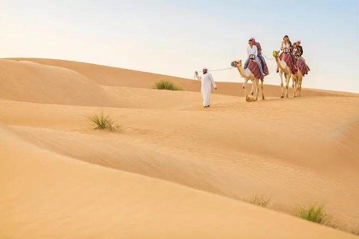 Premium Red Dunes Safari and Camel Safari with BBQ Dinner