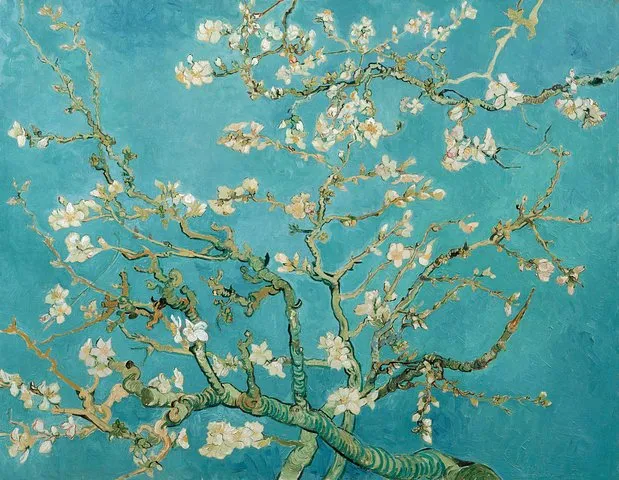 Combo Ticket: Van Gogh Museum Ticket and 1-Hour Canal Cruise