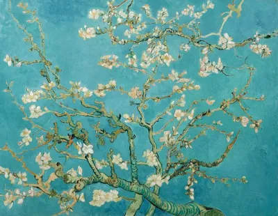 Combo Ticket: Van Gogh Museum Ticket and 1-Hour Canal Cruise
