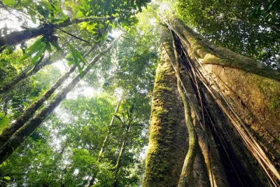 Waterfall, Rainforest, Chocolate Tour & Historical Sites
