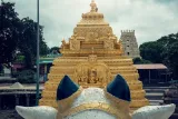 Srisailam Temple full day excursion tour
