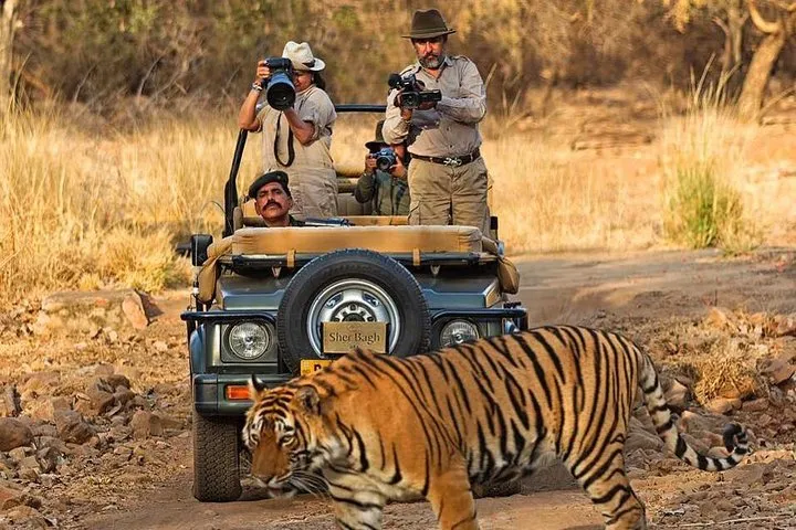 7 Days Golden Triangle Tour & Ranthambore Tiger Safari