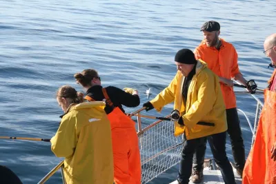 Reykjavik Sea Angling Gourmet