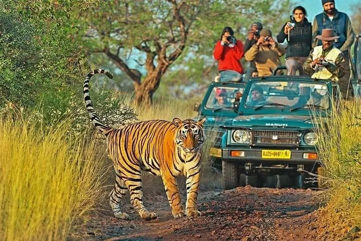 Golden Triangle Tour with Ranthambore (3 Star Hotel)