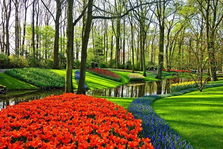Private Keukenhof, Gardens, Windmills, cheese tour from Amsterdam