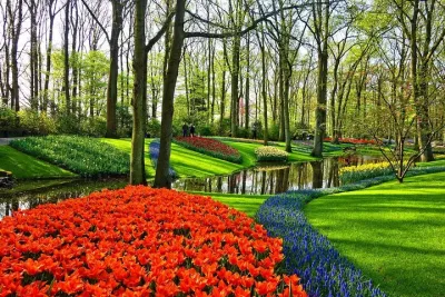 Private Keukenhof, Gardens, Windmills, cheese tour from Amsterdam