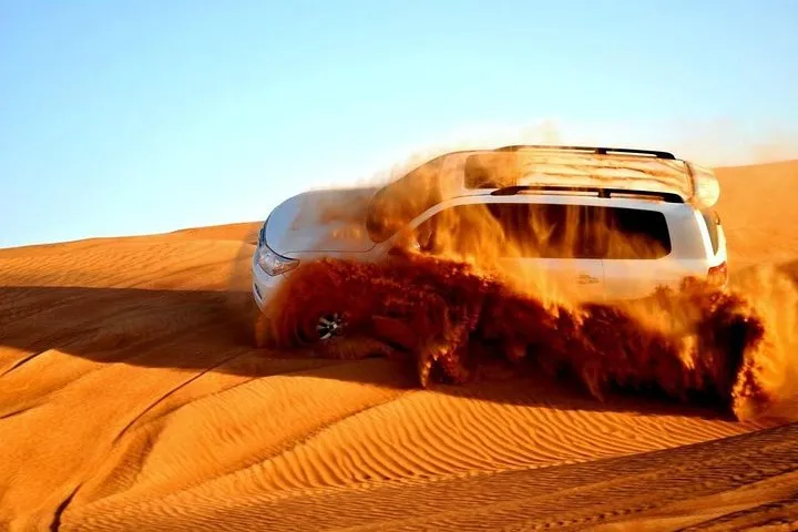 Afternoon Desert Safari with BBQ Dinner