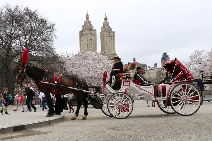 VIP Horse Carriage Ride through Central Park (Up to 4 Adults)