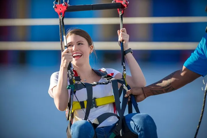 Fly LINQ Zipline at The LINQ Promenade in Las Vegas