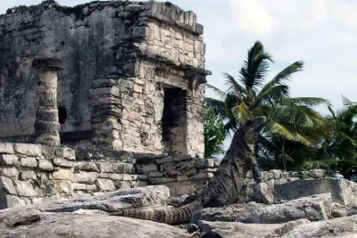 Amazing adventure in Tulum: Ruins, cenotes, transport and lunch