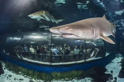 Barcelona Aquarium Skip the Line Ticket