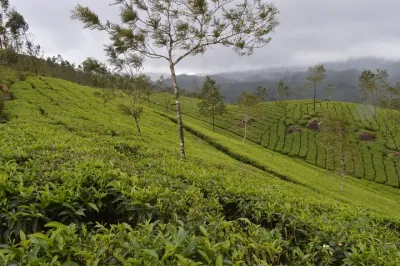 4 Days - Munnar, Alleppey Houseboat & Kochi sightseeing