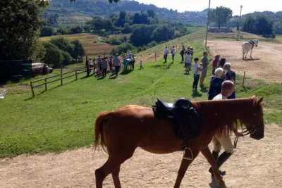 Tuscany Horse Riding & Wine Tasting Private Tour from Rome