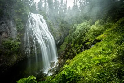 Mt. Rainier National Park Highlights Tour