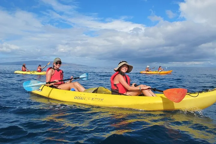 Ultimate Maui Whale Watch Snorkel Tour