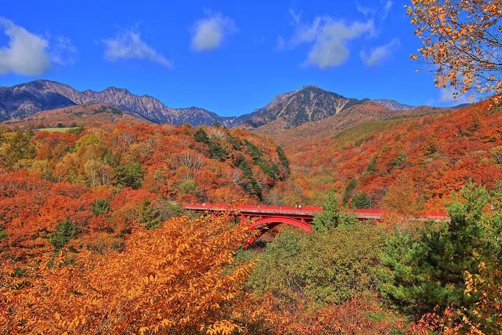 Yamanashi Autumn Leaves: Higashizawa Bridge and Yatsugatake Train
