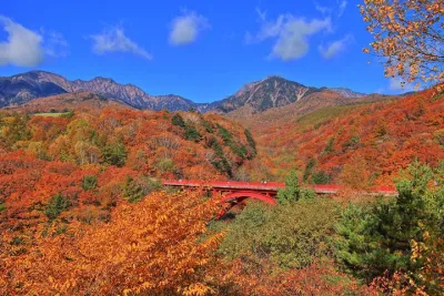 Yamanashi Autumn Leaves: Higashizawa Bridge and Yatsugatake Train