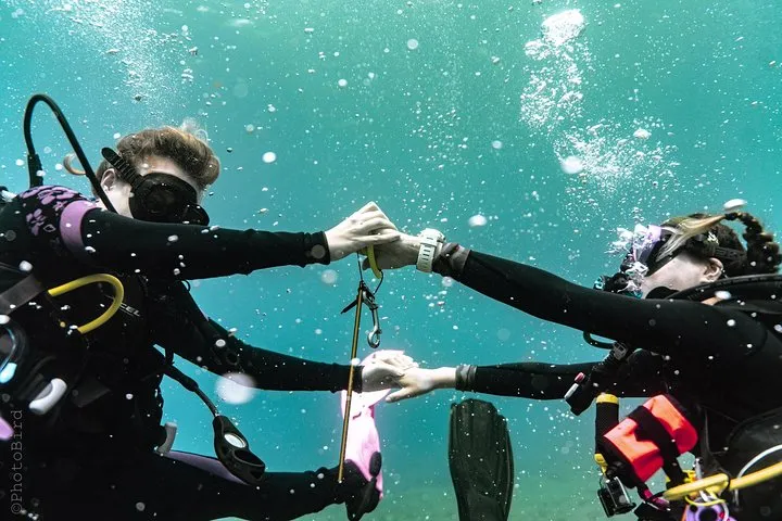 2 Tank Private SCUBA Party Diving Charter from Waikiki Hawaii