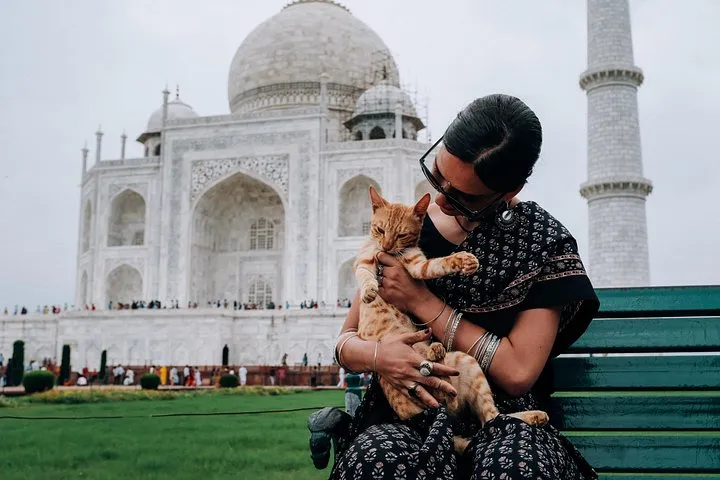 Agra Half-Day Tour of Taj Mahal and Agra Fort by Car