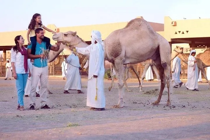 Al Ain City Tour from Dubai (Outdoor Activities )