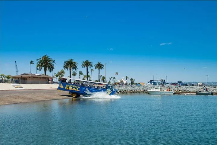 San Diego Seal Tour